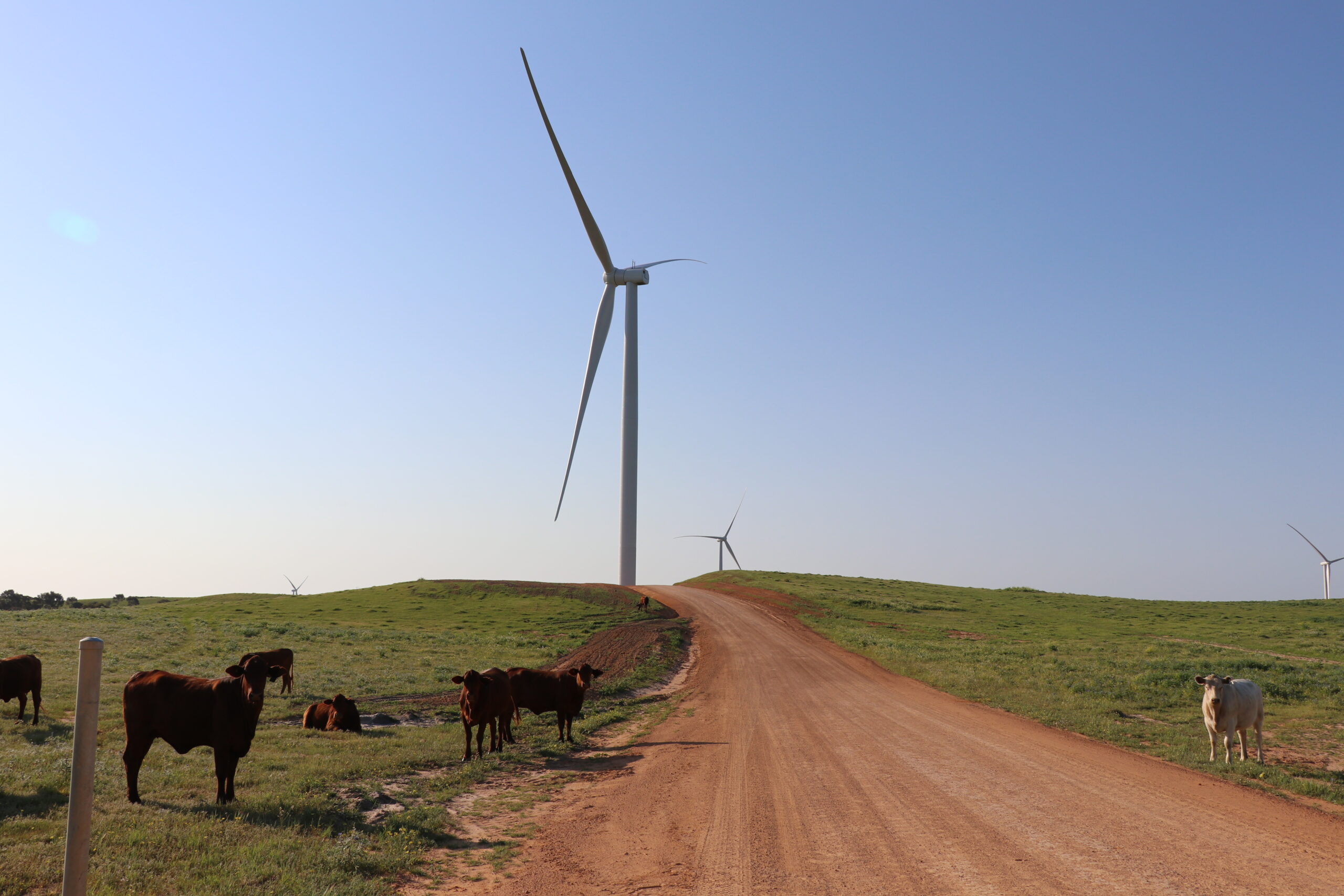 Purpose Energy renewable energy solutions